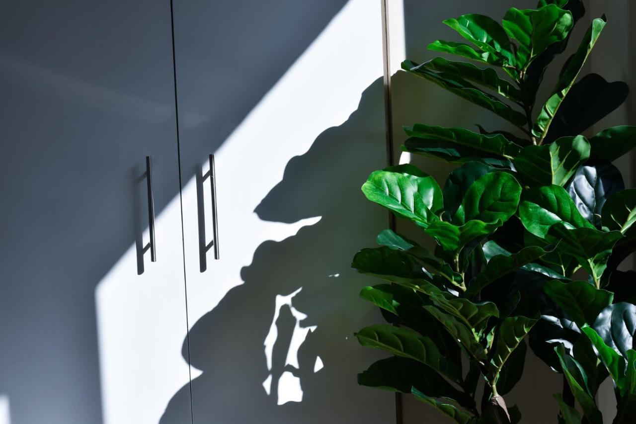 Hotel Celta Vigo Dış mekan fotoğraf